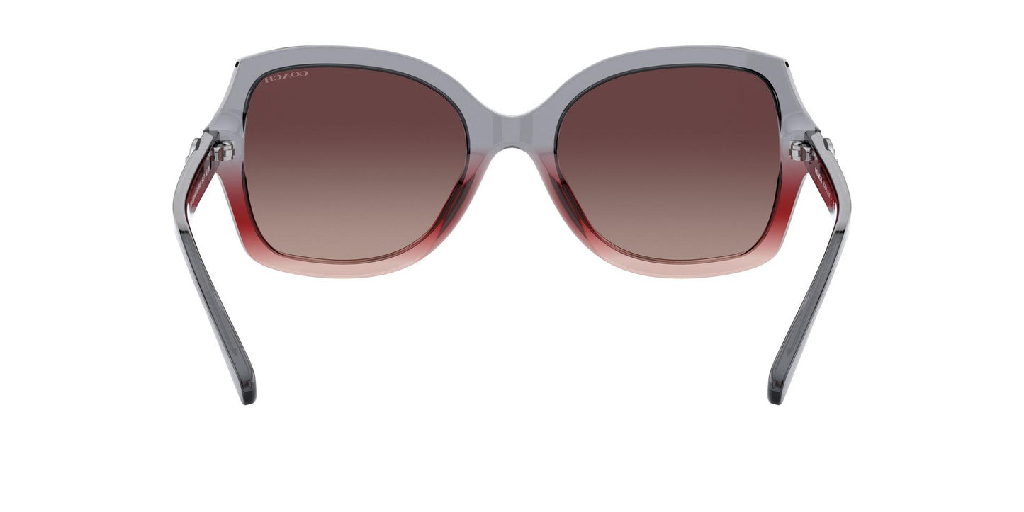 Women Sunwear - COACH Saudi Arabia Official Site
