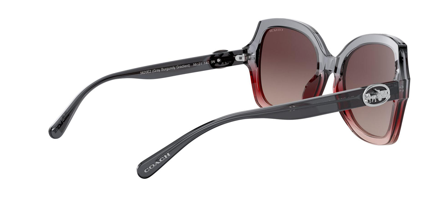 Women Sunwear - COACH Saudi Arabia Official Site