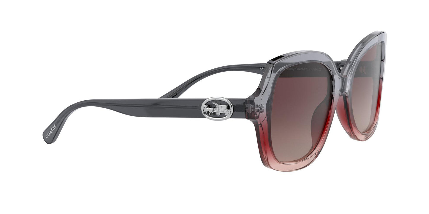 Women Sunwear - COACH Saudi Arabia Official Site