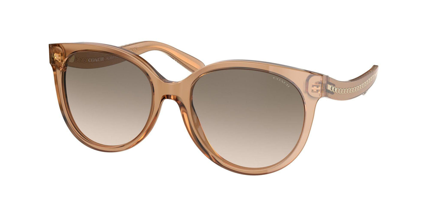 COACH-Women Sunwear-565413