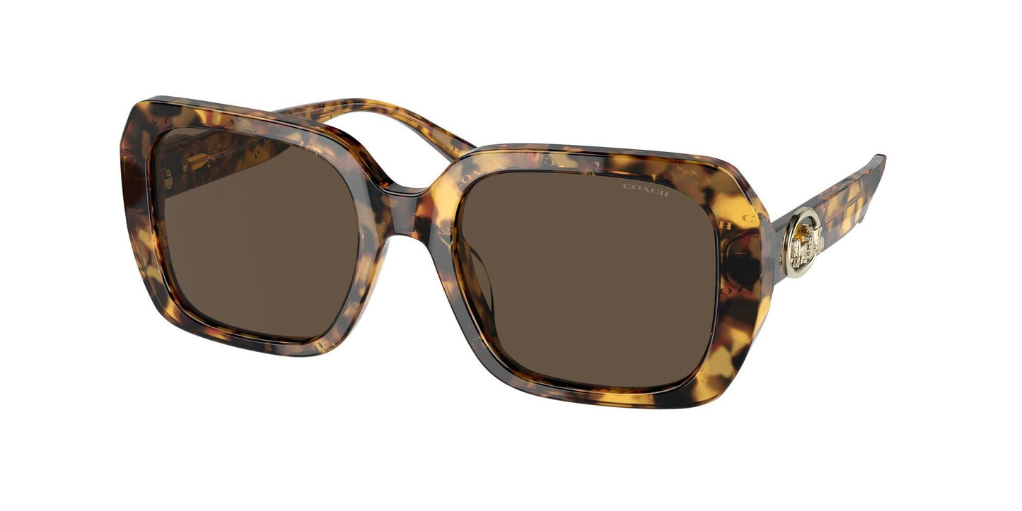 COACH-Women Sunwear-565973