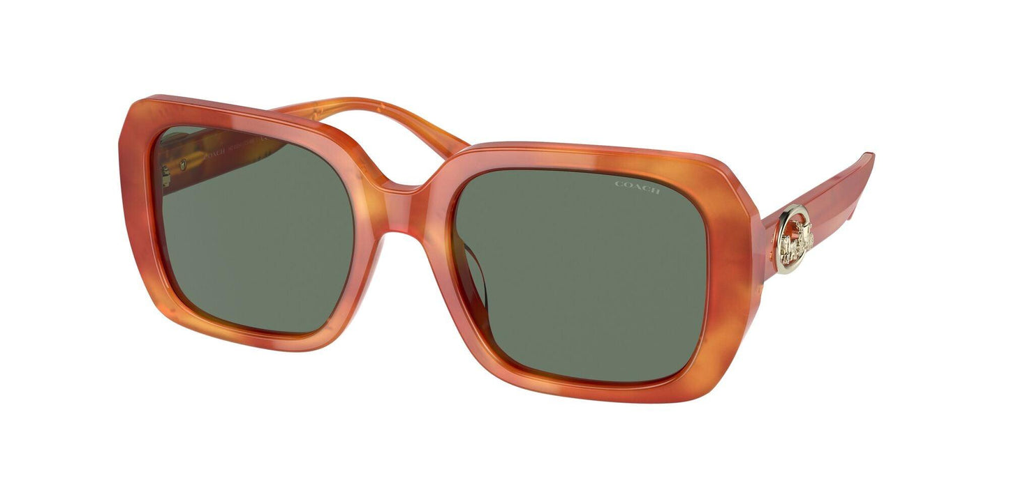 COACH-Women Sunwear-56603H
