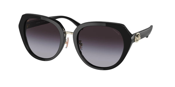 Horse And Carriage Oversized Round Sunglasses