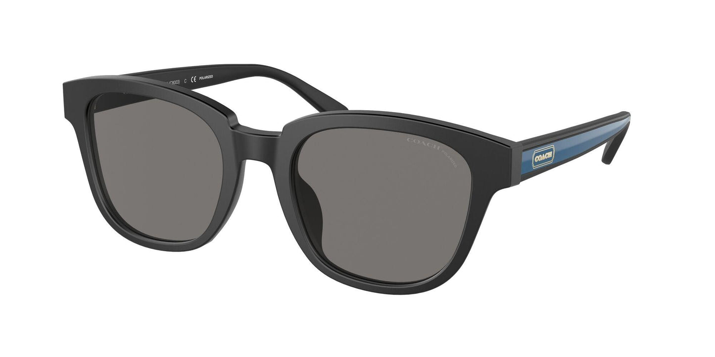 DARK GRAY POLAR
