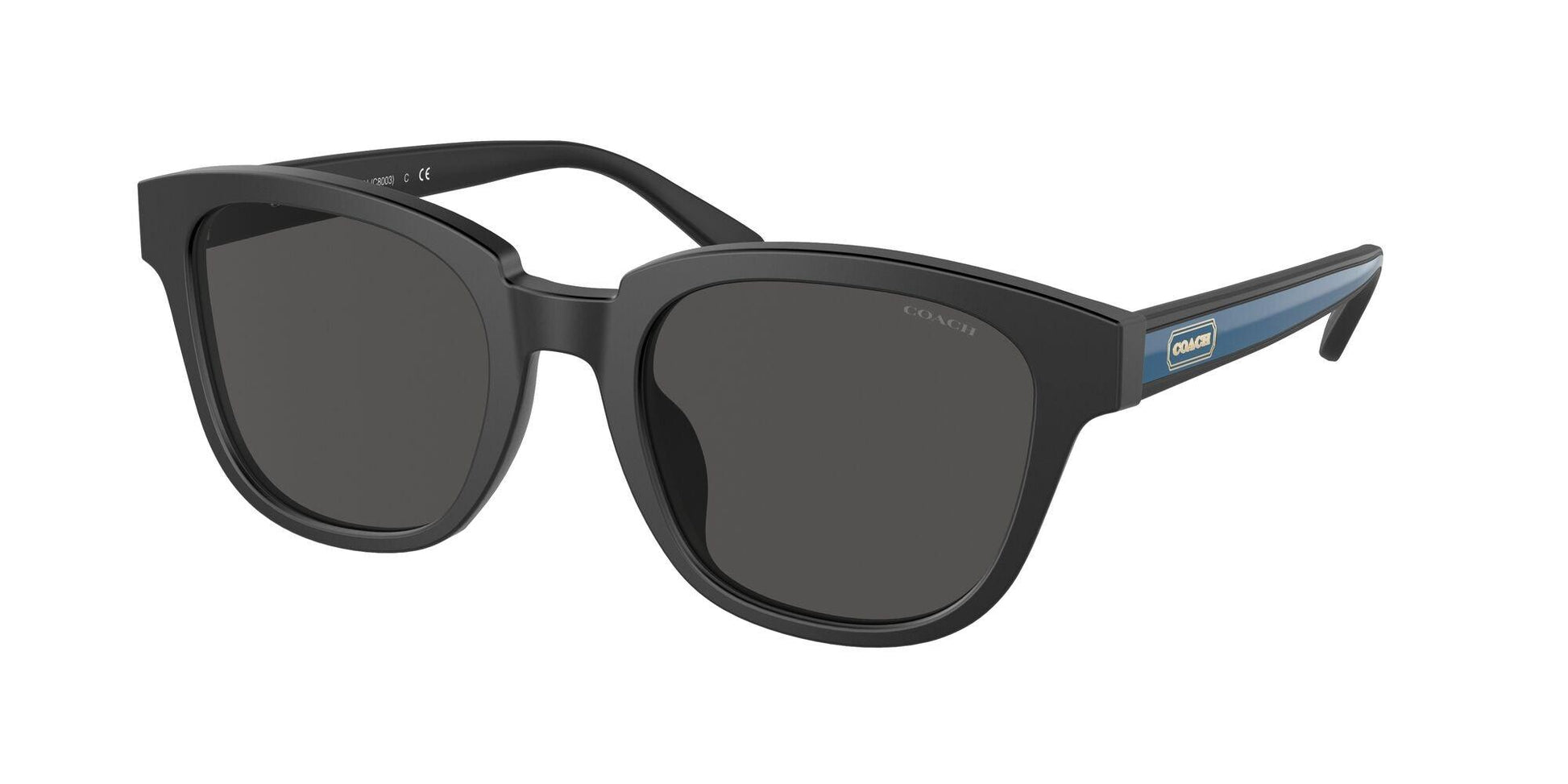 Round Sunglasses - COACH Saudi Arabia Official Site