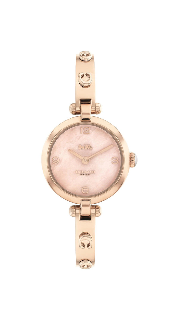 Cary Women Watch