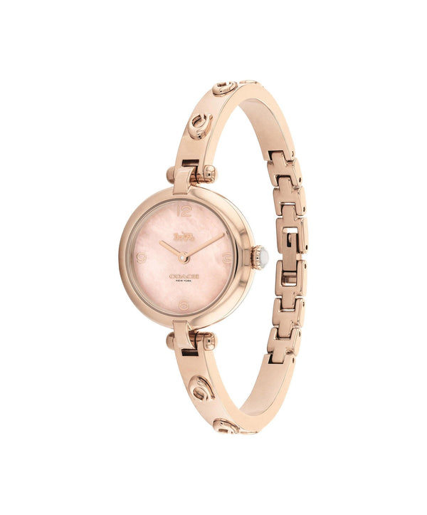 Cary Women Watch