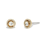 386994gld-pave halo stud earrings-gold