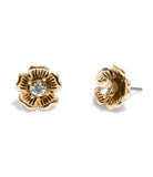 386996gld-signature tea rose stud earrings-shiny gold