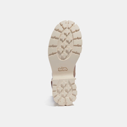 TAN