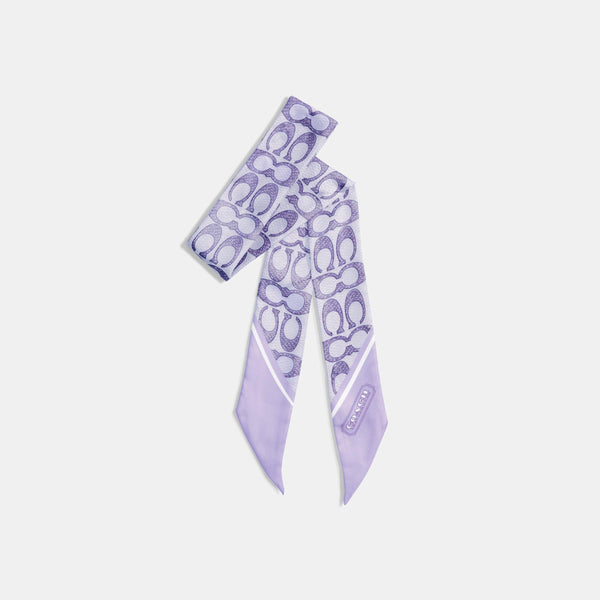 Vintage Signature Print Silk Skinny Scarf