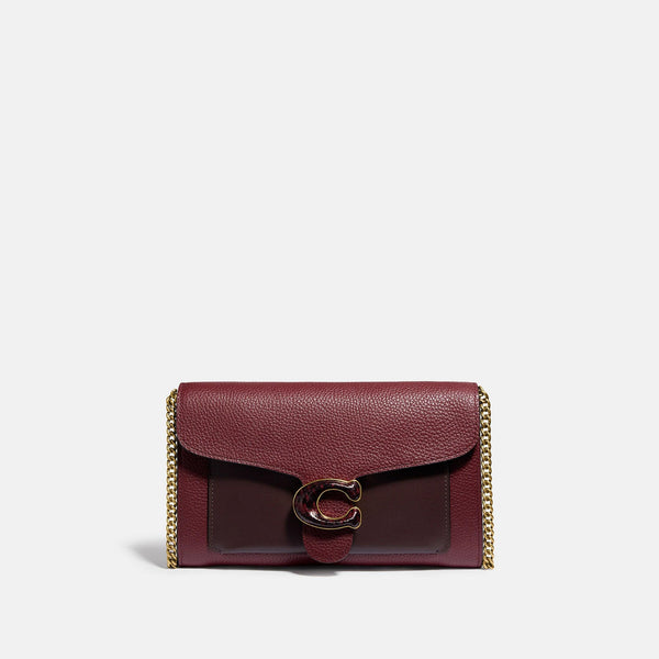 Tabby Chain Clutch In Colorblock With Snakeskin Detail