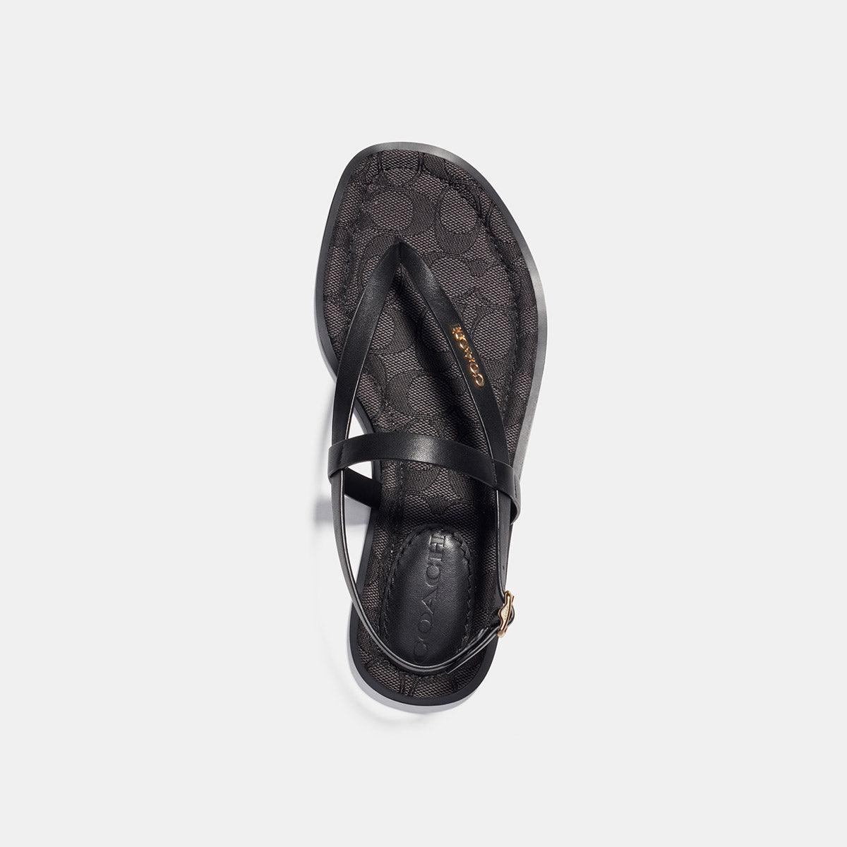 coach abbigail flip flops black