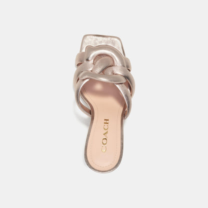 Platinum Champagne