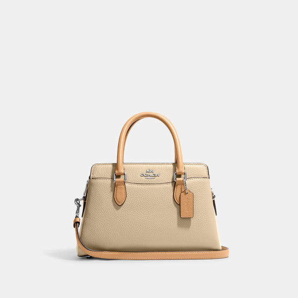 Mini Darcie Carryall In Colorblock