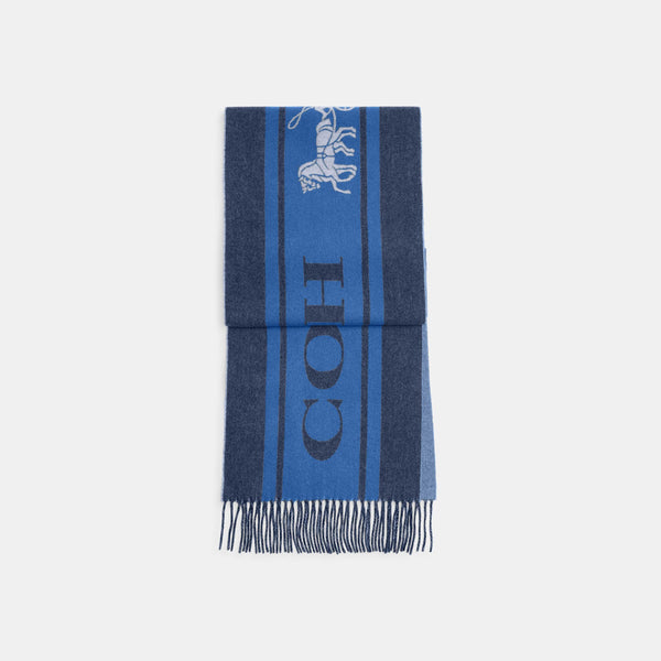 Varsity Sport Cashmere Muffler