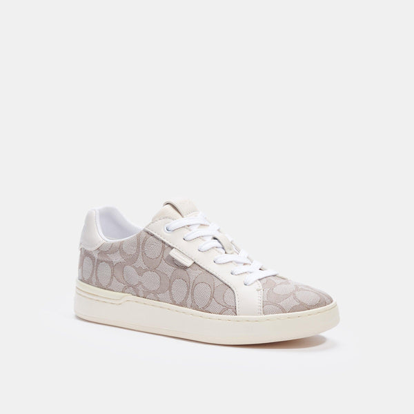 Lowline Low Top Sneaker